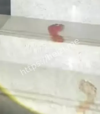 被封禁的中国第一凶宅